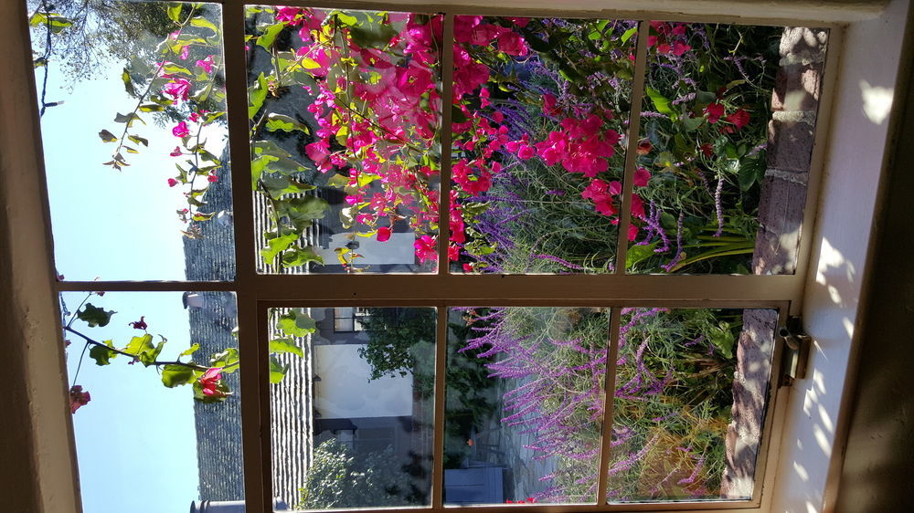 Carmel-by-the-Sea The Vagabond'S House Boutique Inn المظهر الخارجي الصورة